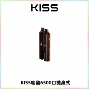 KIS5WAGOO哇酷6500口拋棄式 | 自由混搭雙口味 | 雙芯組合